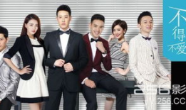 不得不爱电视剧剧情,爱情与现实的纠葛，青春的抉择与成长